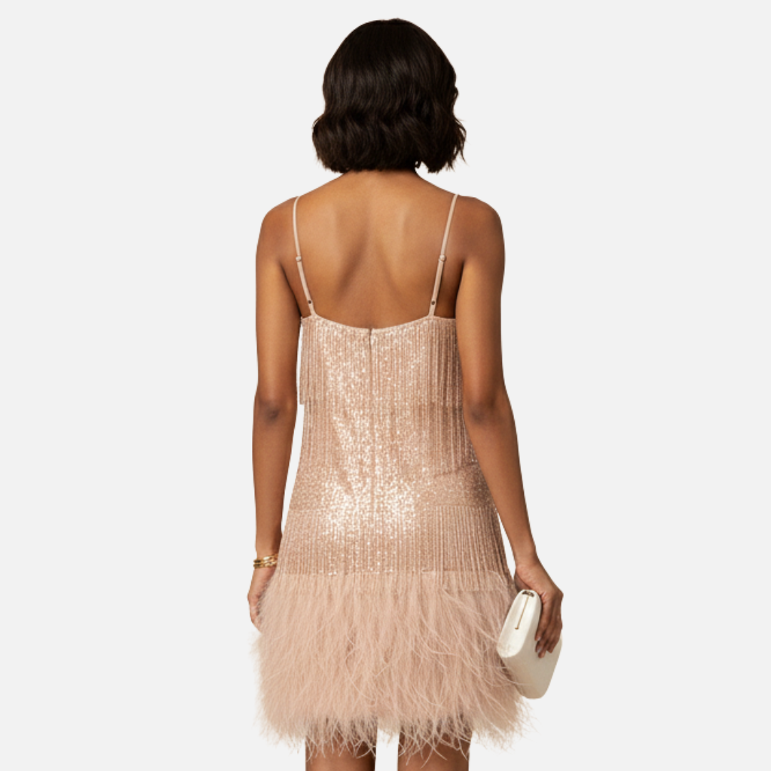 Chiq Cocktail Dress with Feather Details